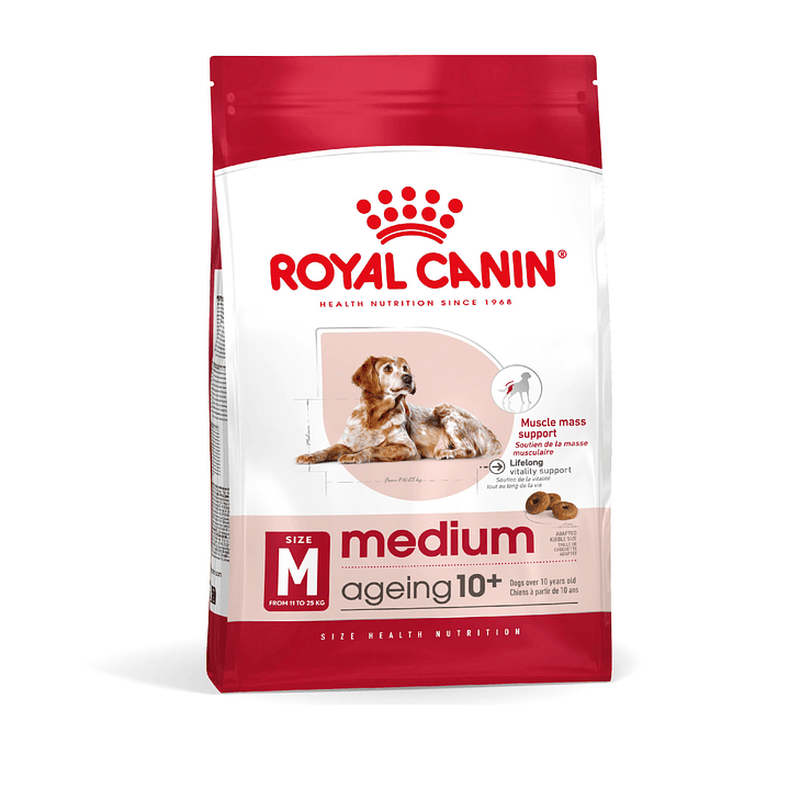 Royal Canin - Medium Adulto 10+ 1