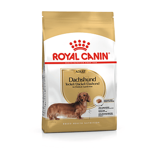 Royal Canin - Dachshund Adulto