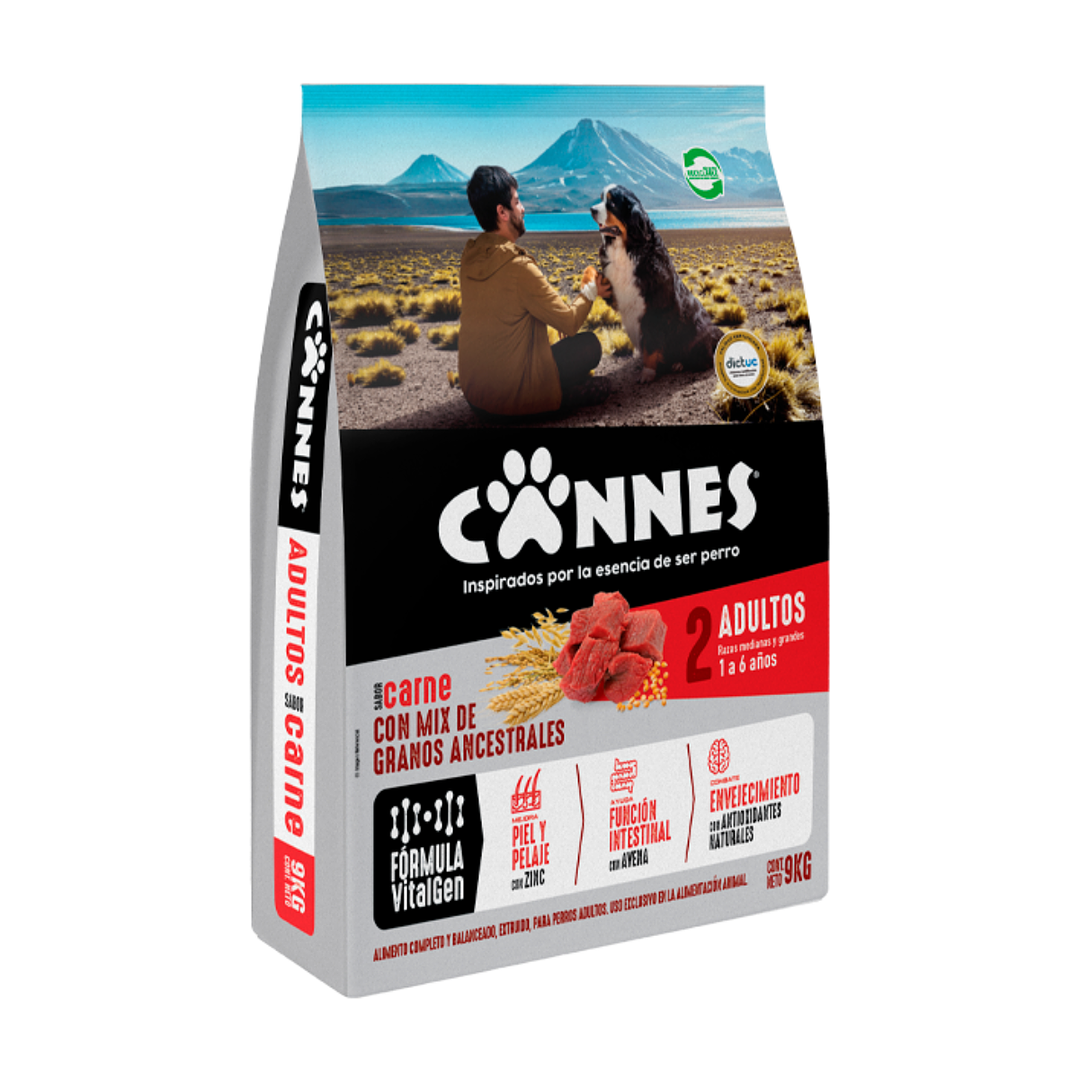 Cannes - Adulto - Carne y Cereales 1