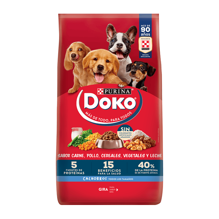 Doko - Cachorro  1