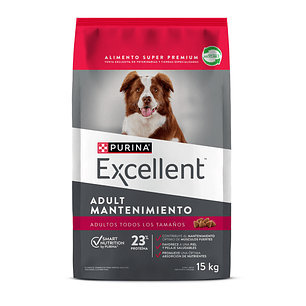 Excellent - Mantenimiento