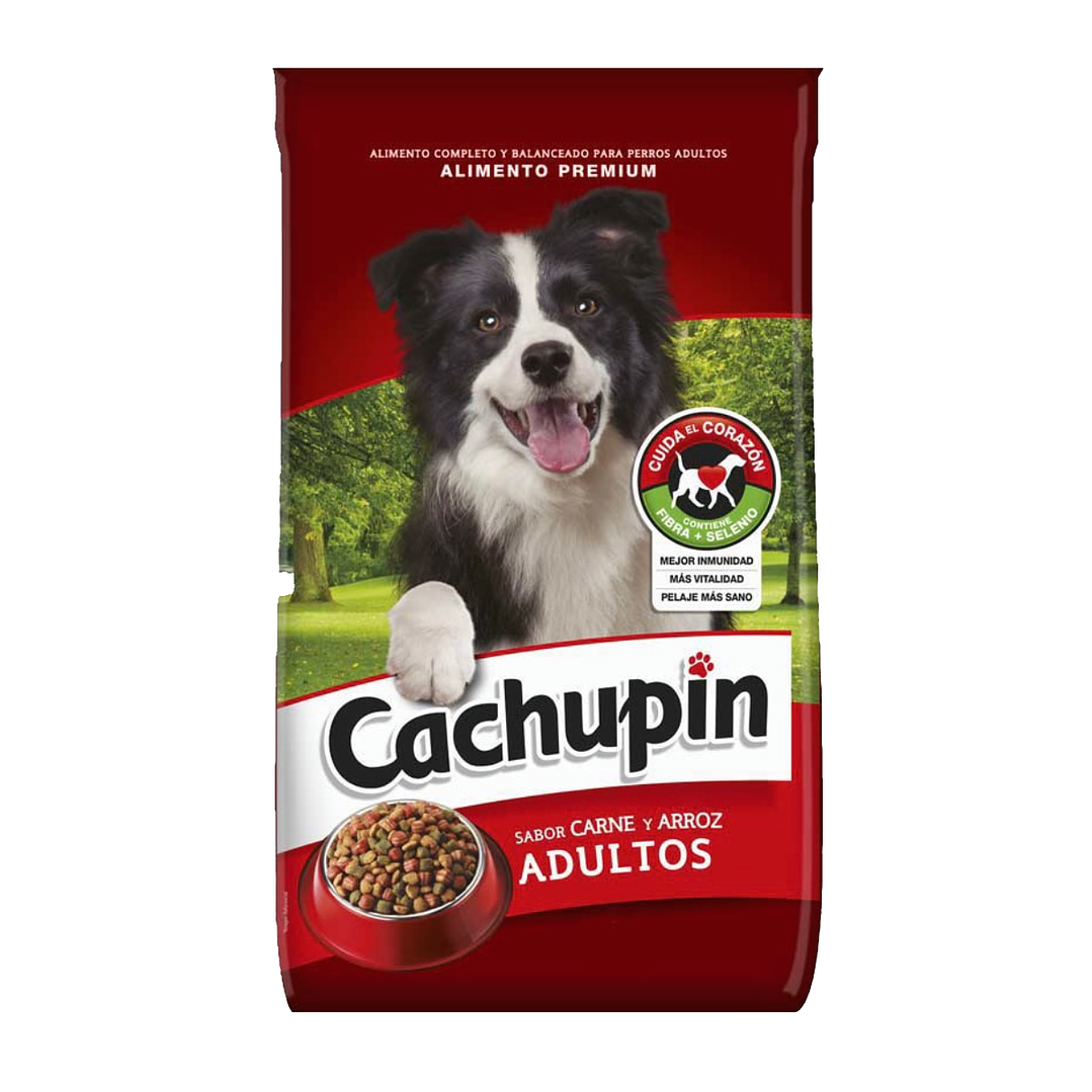 Cachupin - Adulto - Carne y Arroz 1