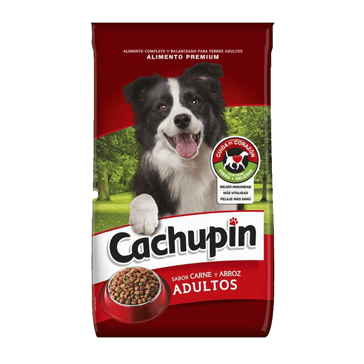 Cachupin - Adulto - Carne y Arroz 1
