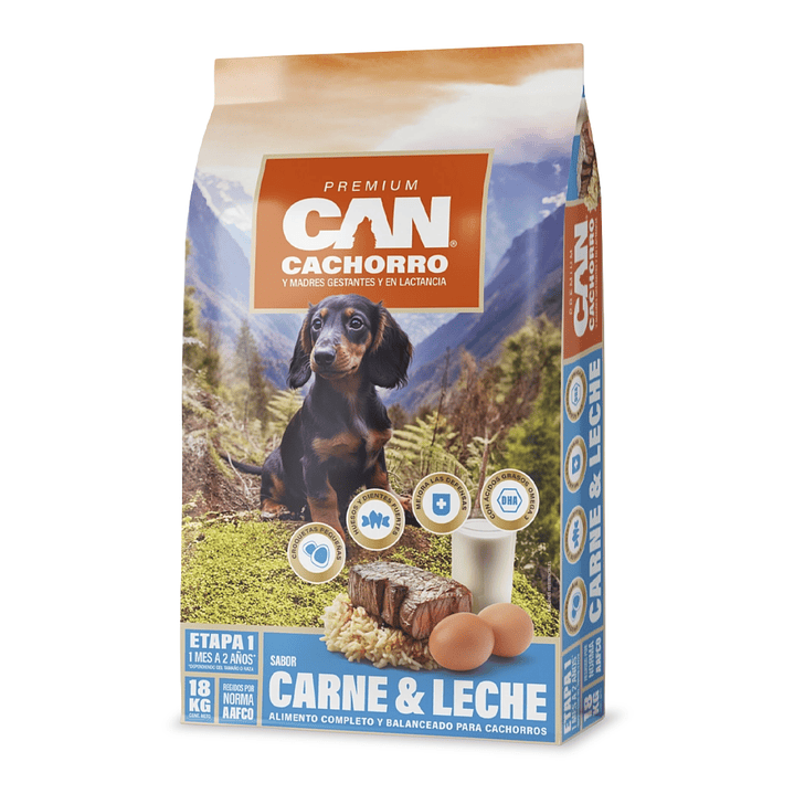 Can - Cachorro 1