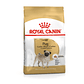 Royal Canin - Pug Adulto - Miniatura 1