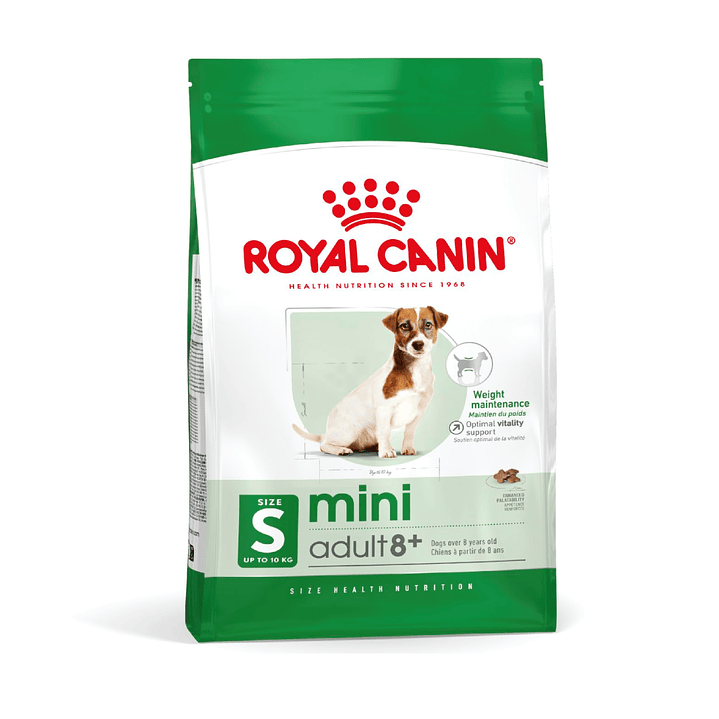 Royal Canin - Mini Adulto 8+ 1