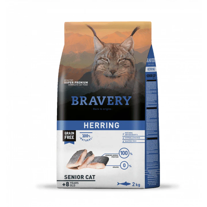 Bravery - Herring Senior Cat 1