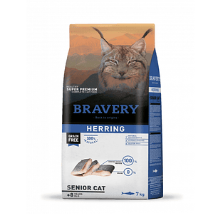 Bravery - Herring Senior Cat