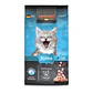 Leonardo - Kitten - Miniatura 1
