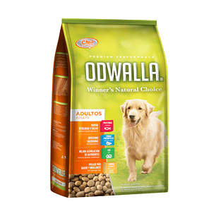 Odwalla - Adulto