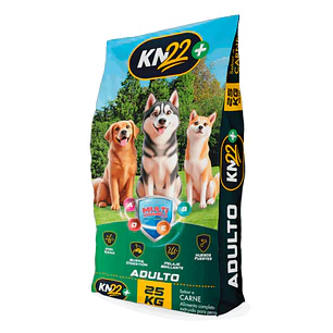 KN22 - Adulto