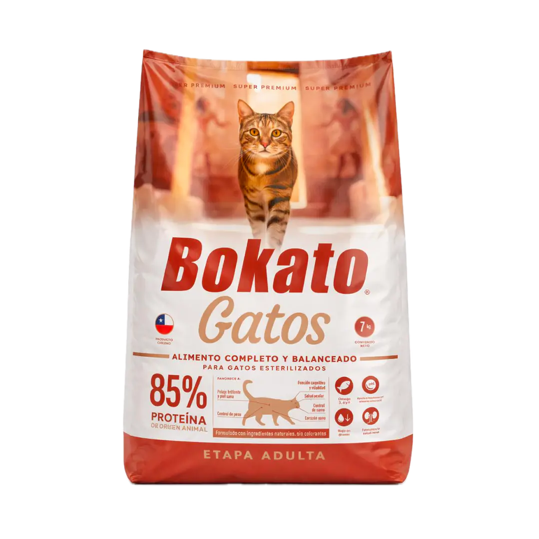 Bokato - Gato Adulto 1