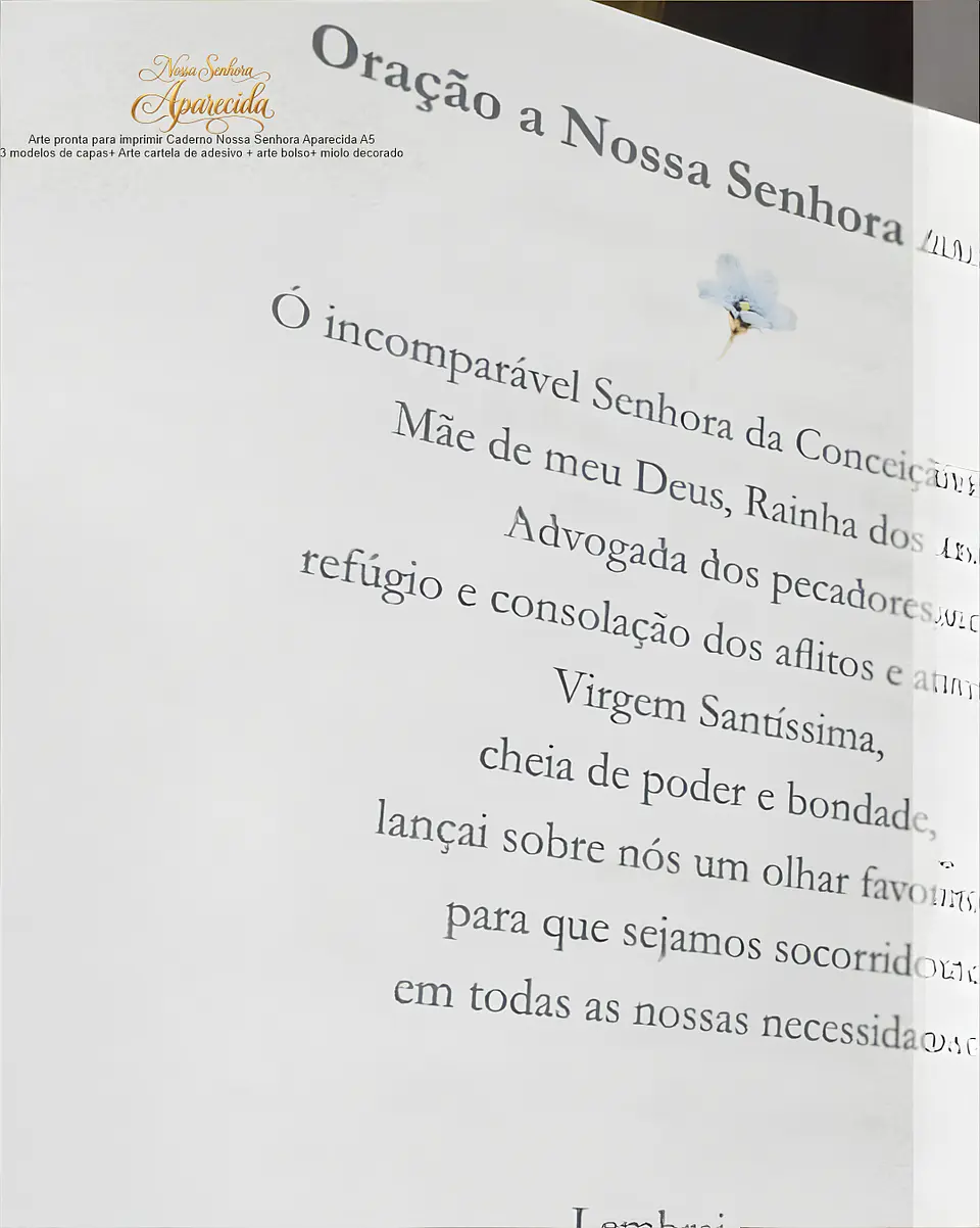 Caderno A5 + Bolso + Adesivo + Capas - NS Aparecida 7 7