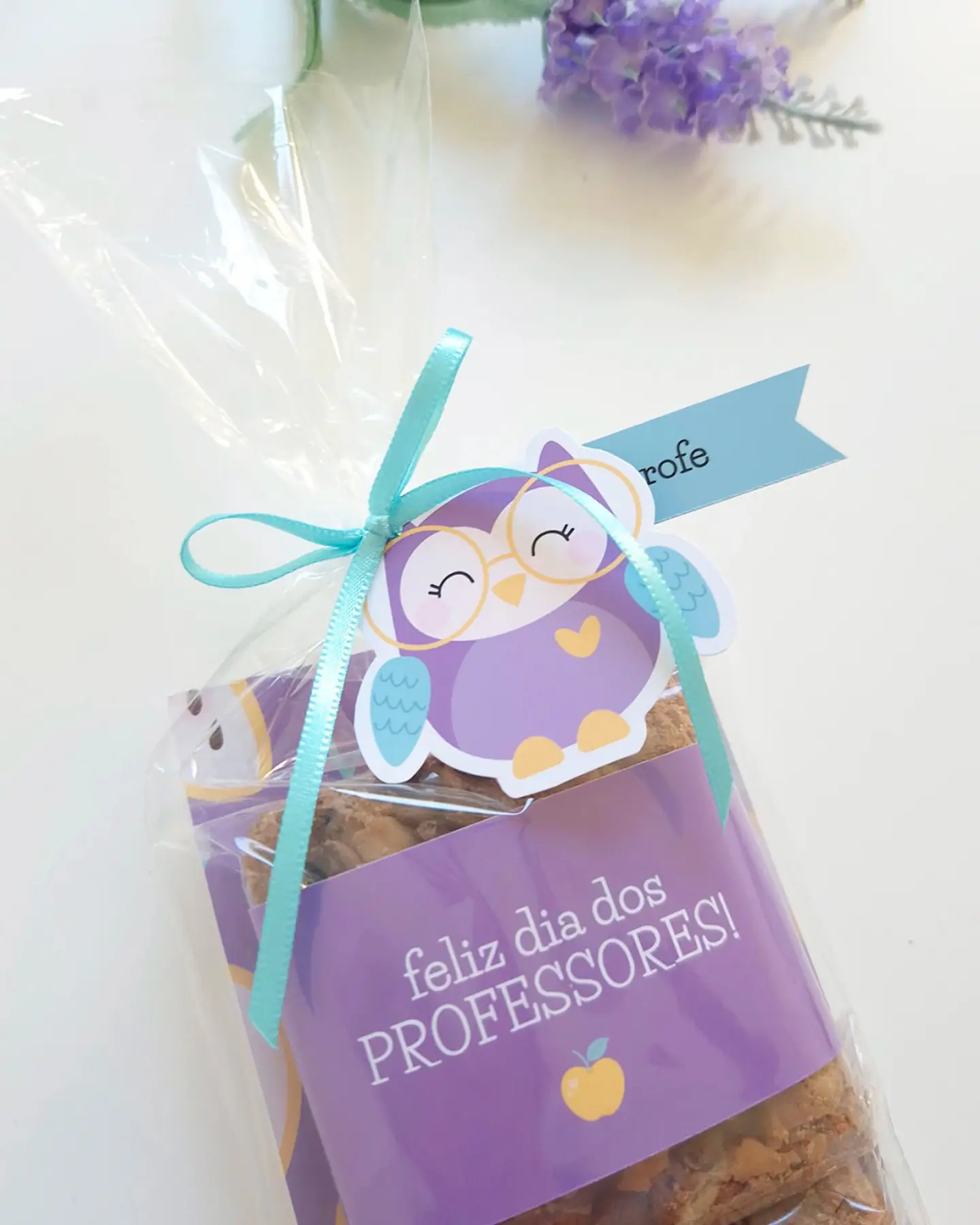 Dia dos Professores - Coruja 4
