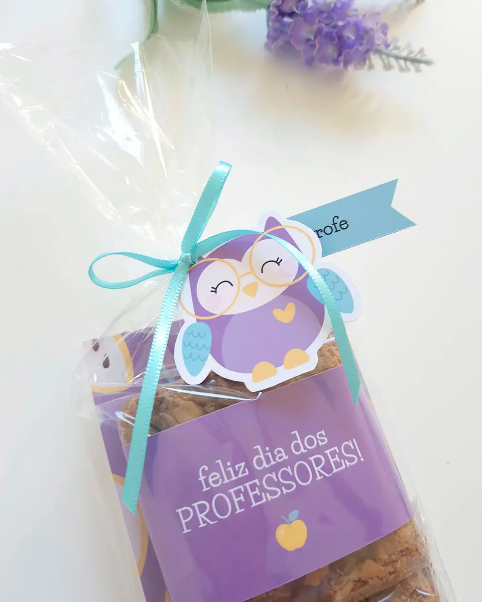 Dia dos Professores - Coruja 4