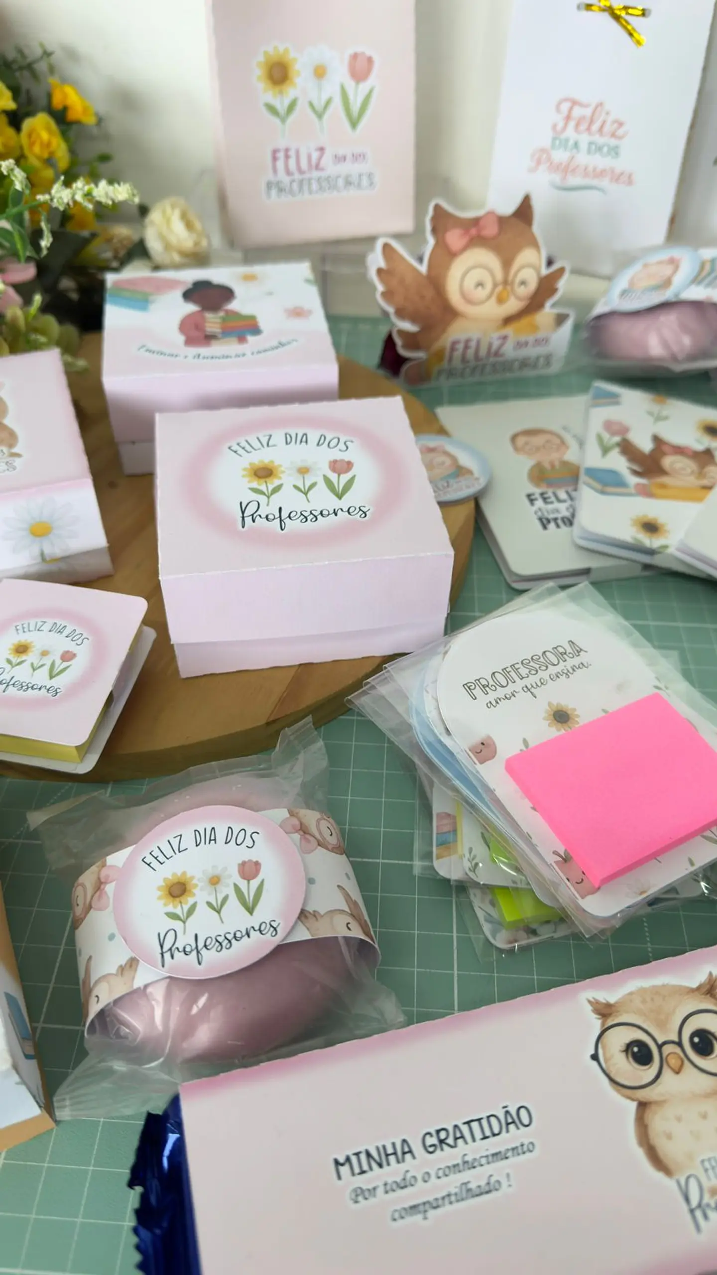 Profe com Amor - Dia dos Professores 41