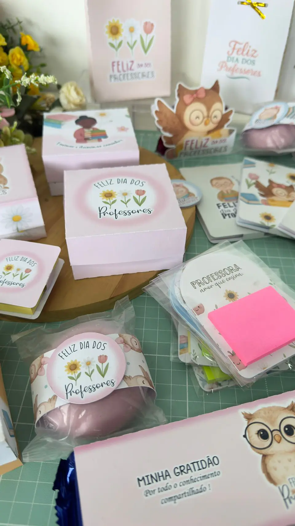 Profe com Amor - Dia dos Professores 41