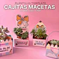 Caixa para Suculenta - Dia dos Professores - Thumbnail 1