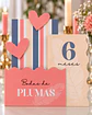 Bodas de Plumas (6 Meses) - Arquivo de Corte - Thumbnail 2