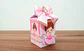 Kit Festa - Bailarina - Thumbnail 10