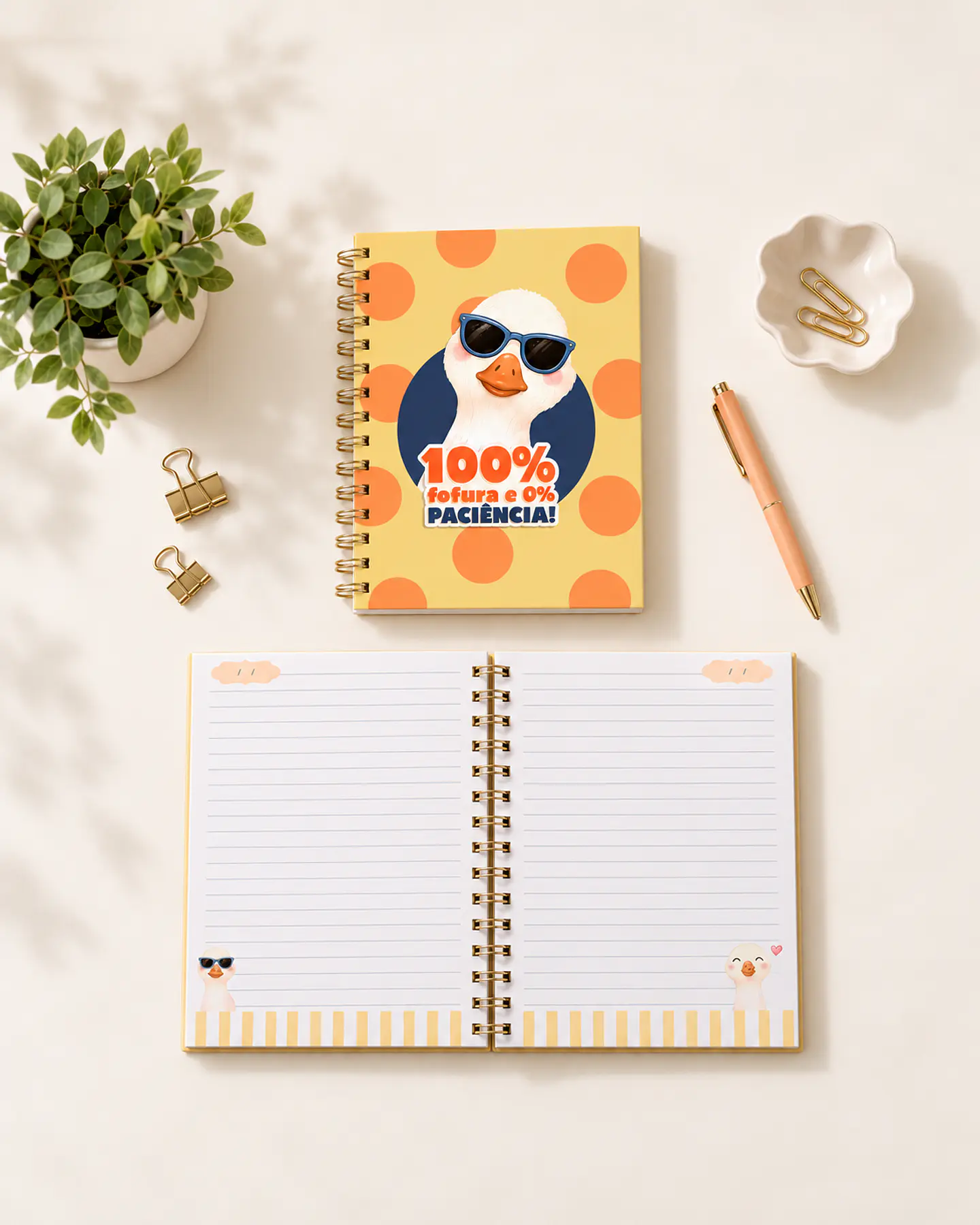 Gansos - Kit Encadernação 10