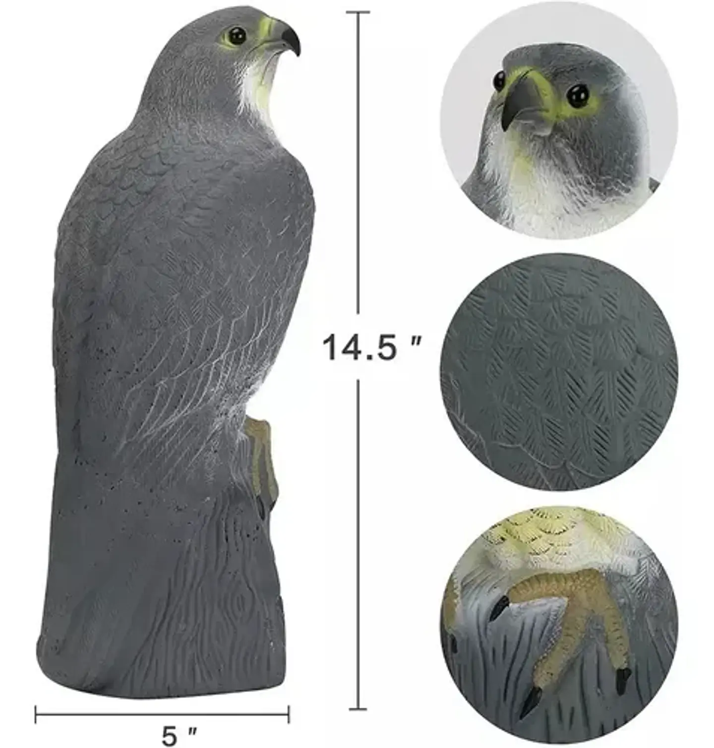 Halcón Realista Espanta Pájaros, Espanta Palomas 2
