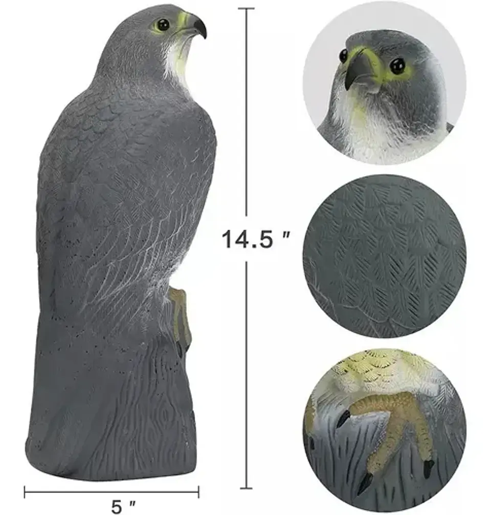 Halcón Realista Espanta Pájaros, Espanta Palomas 2