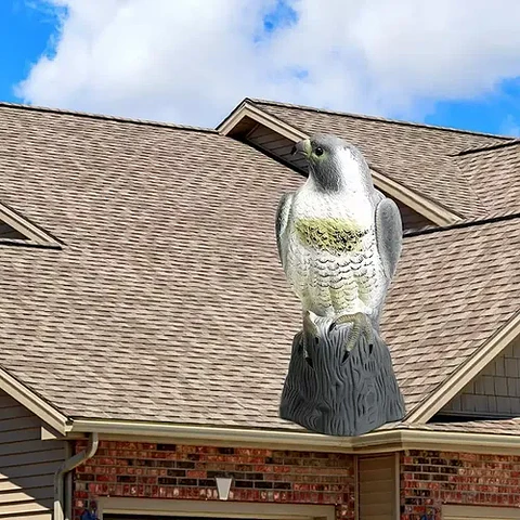 Halcón Realista Espanta Pájaros, Espanta Palomas