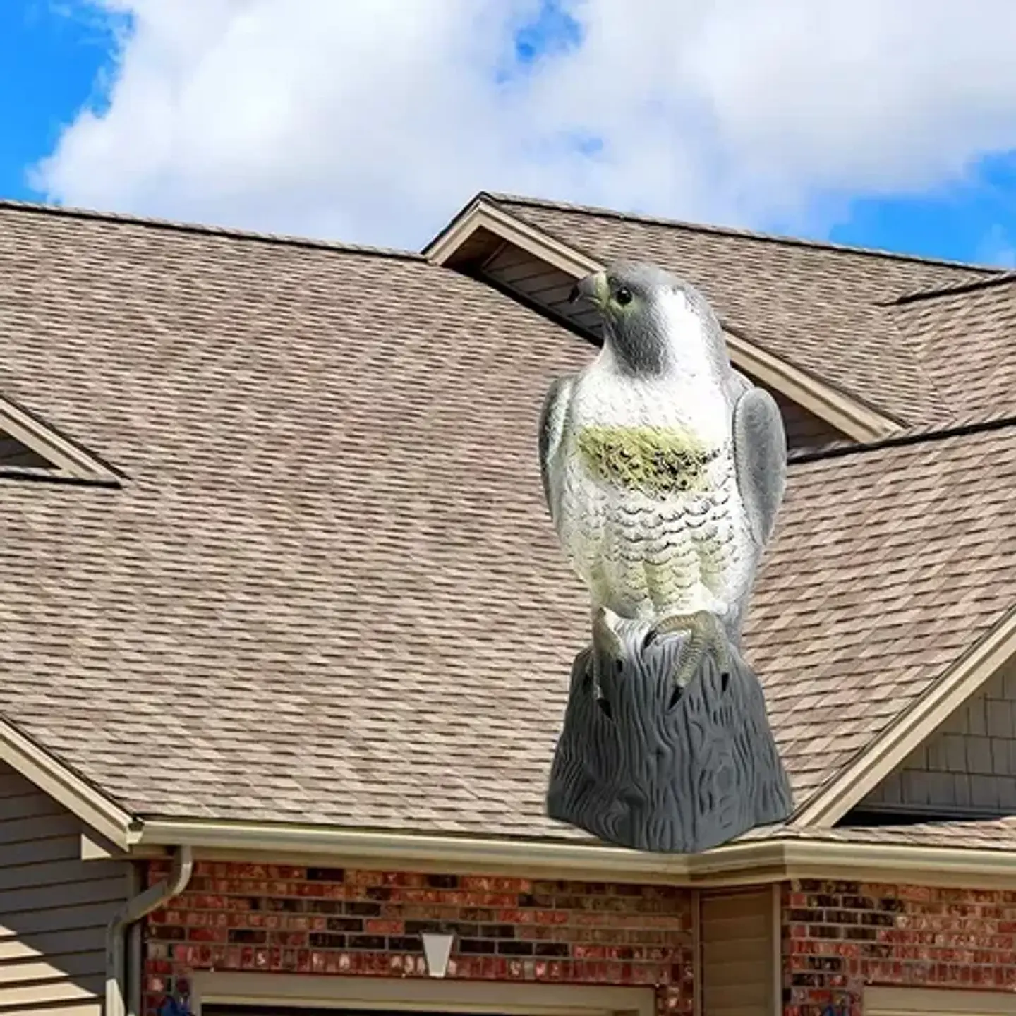 Halcón Realista Espanta Pájaros, Espanta Palomas 3