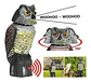 Búhos Espanta Pájaros 3.0 - Miniatura 3