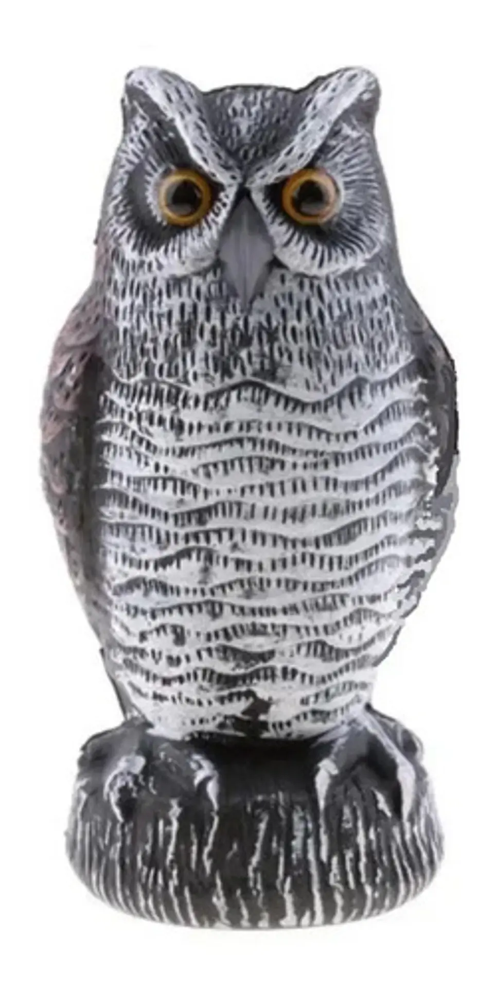 Buho Espanta Palomas, Espanta Pajaros 1
