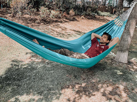 hammocks
