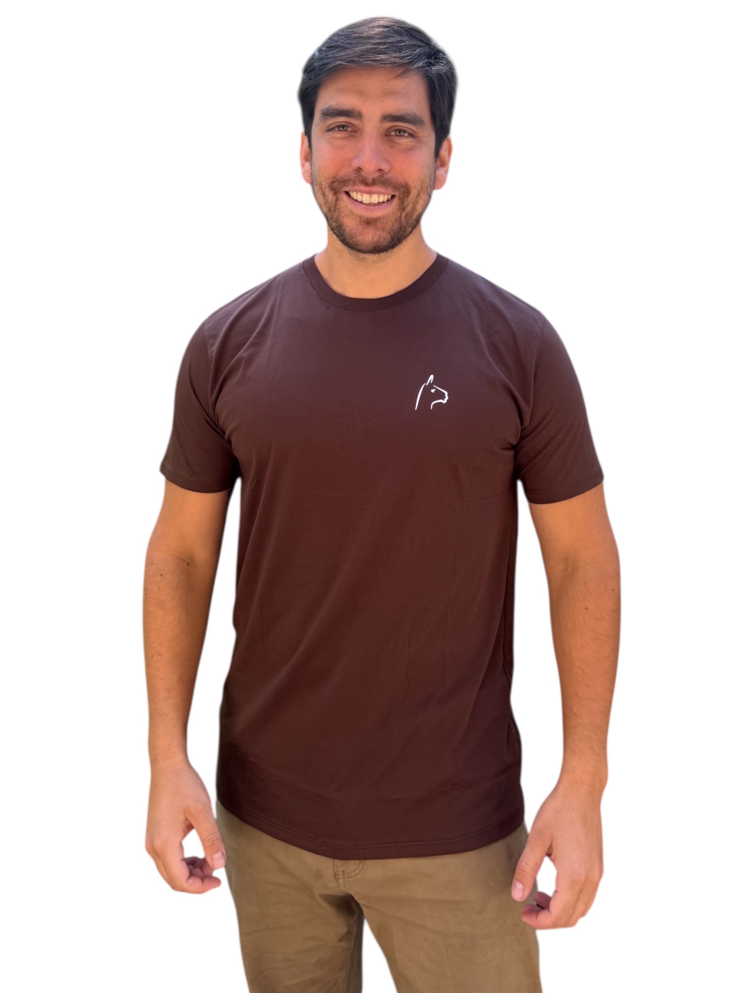 Polera Alpakia café