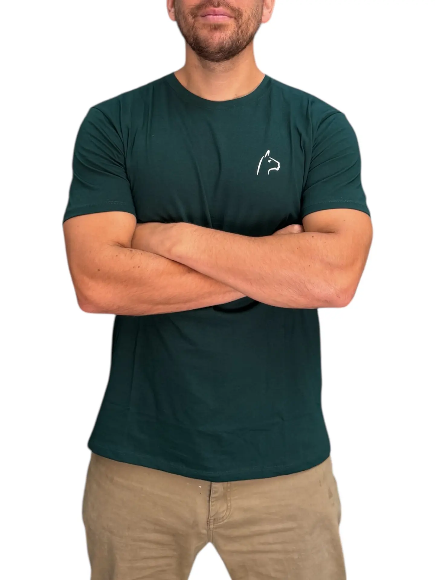 Polera Alpakia Verde Musgo 3