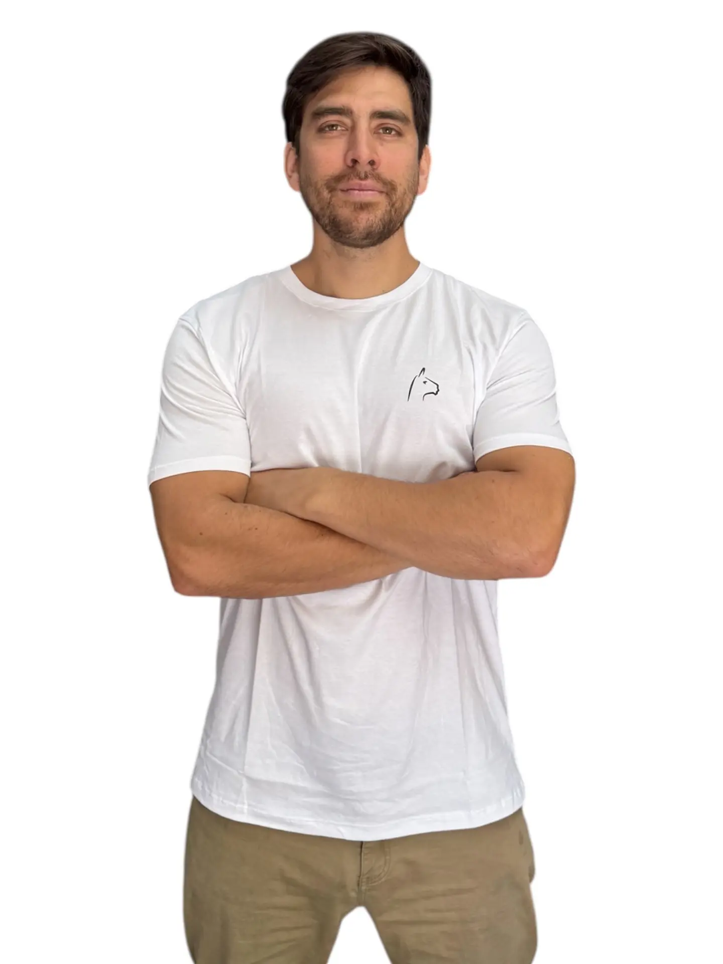 Polera Alpakia Blanca 2