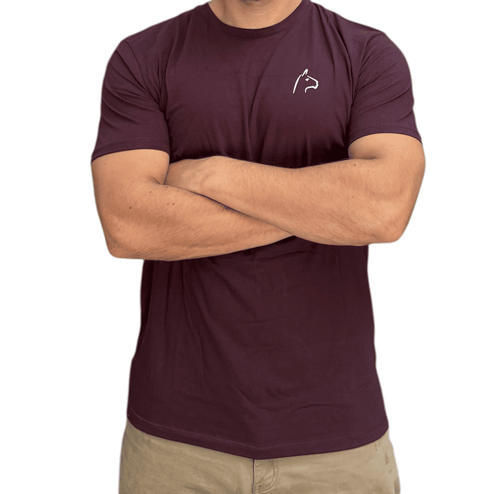 Polera Alpakia Burdeo 2