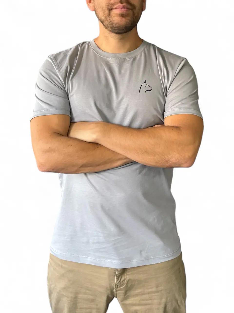 Polera Alpakia Gris 2