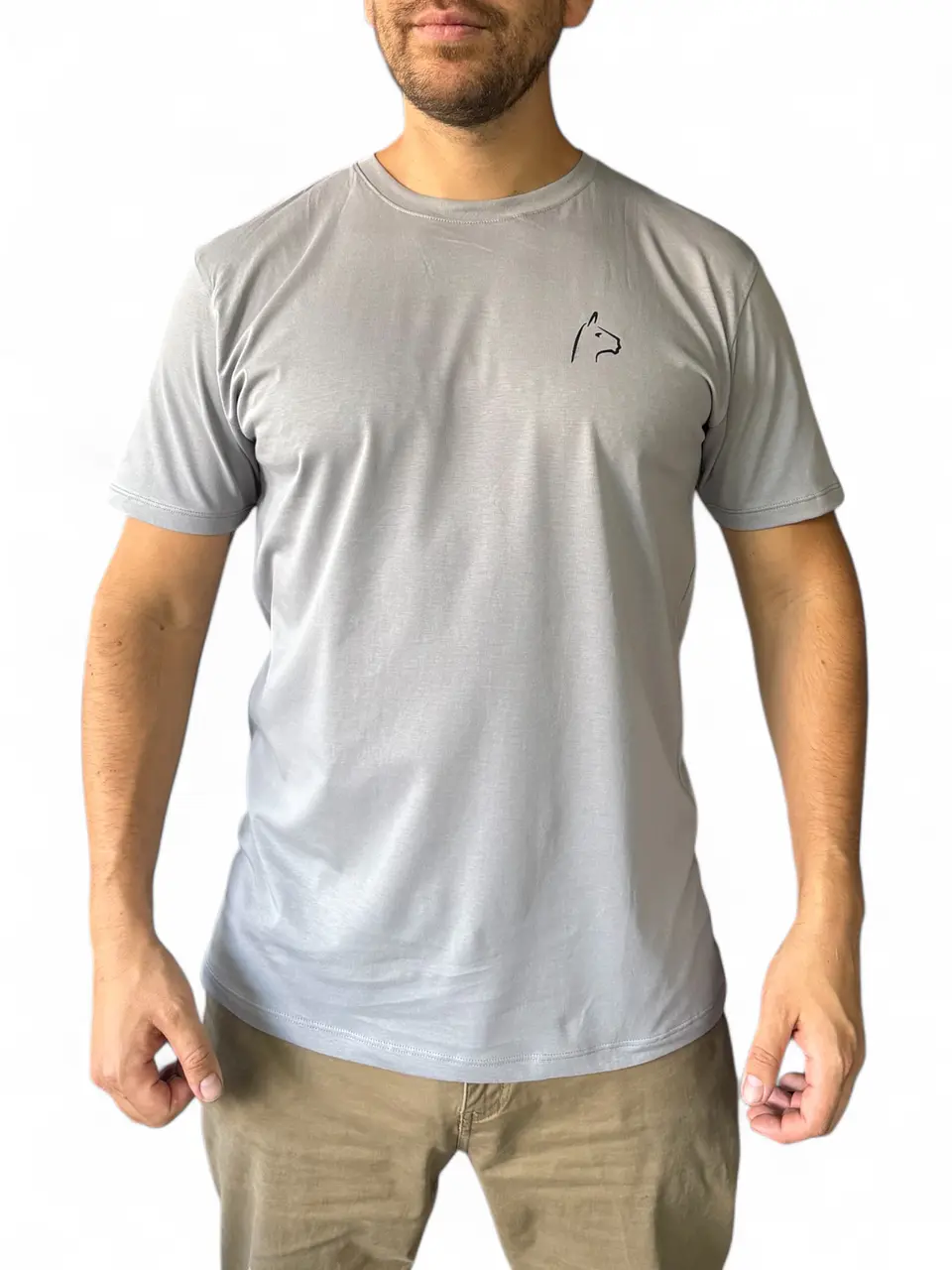 Polera Alpakia Gris 1
