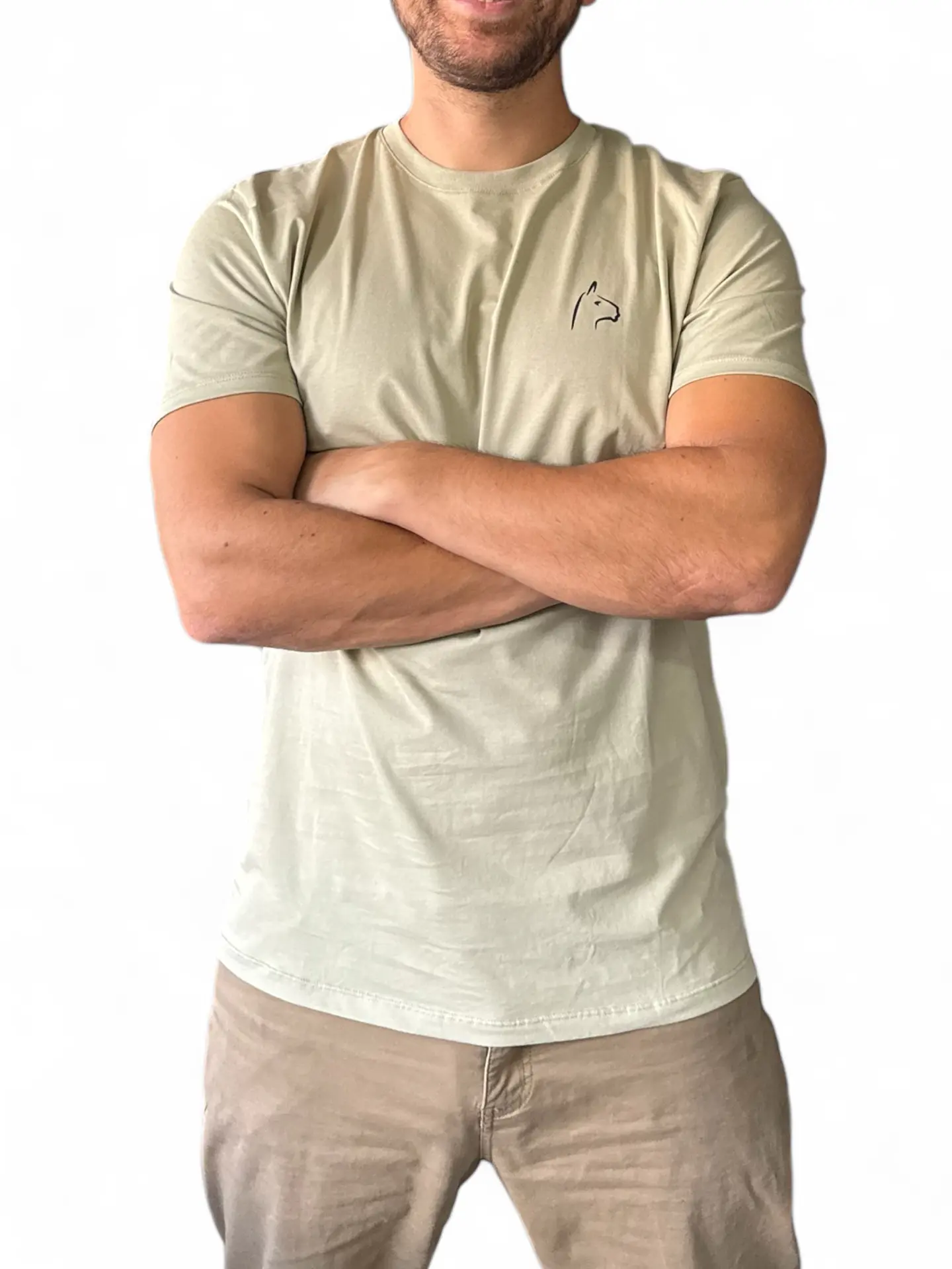 Polera Alpakia Oliva 2