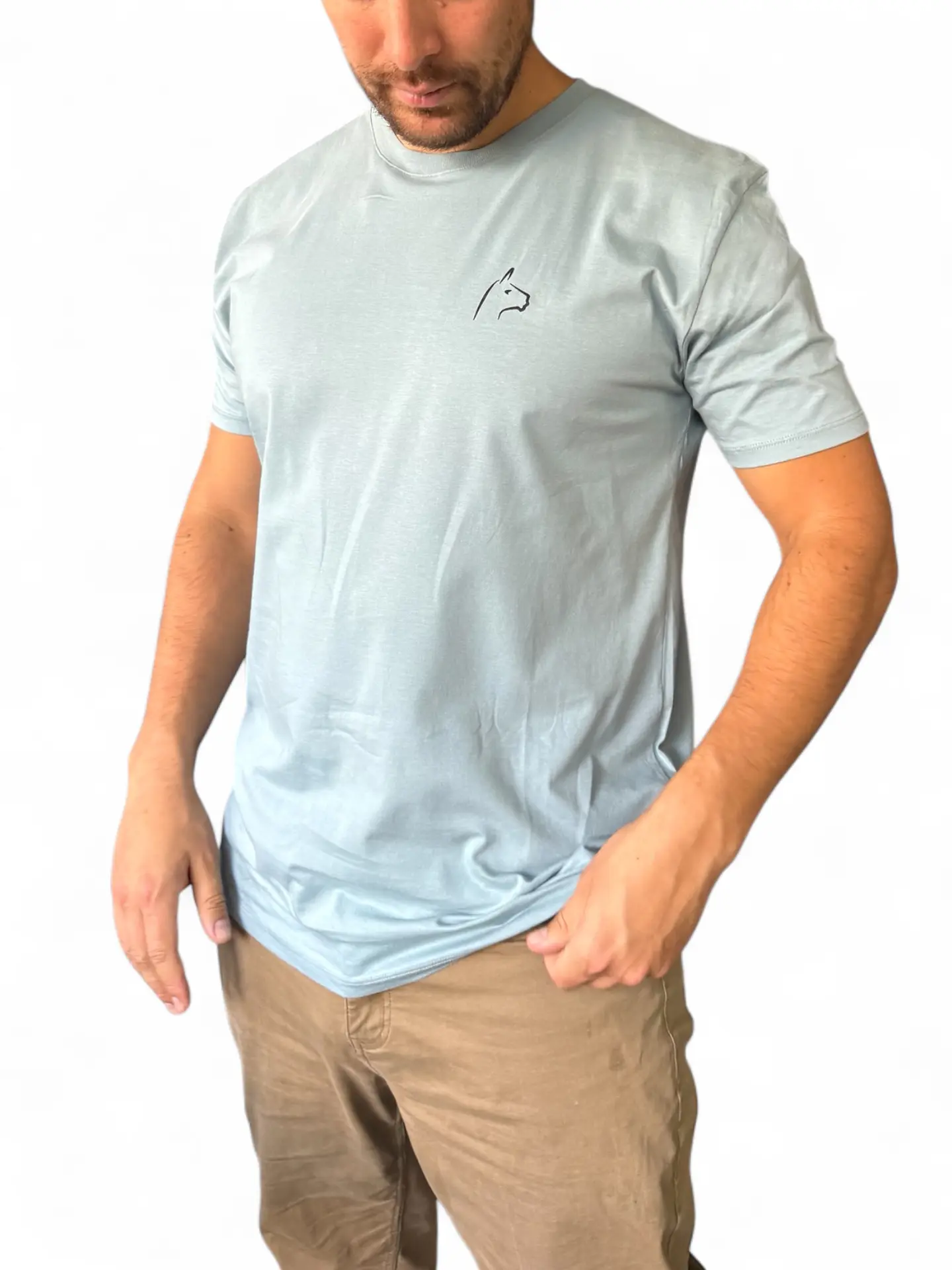 Polera Alpakia Celeste 4
