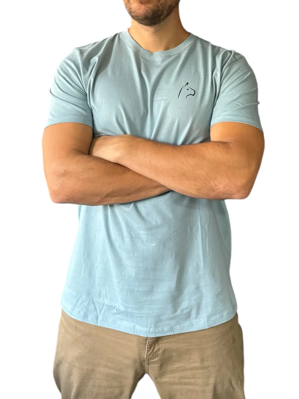 Polera Alpakia Celeste 3