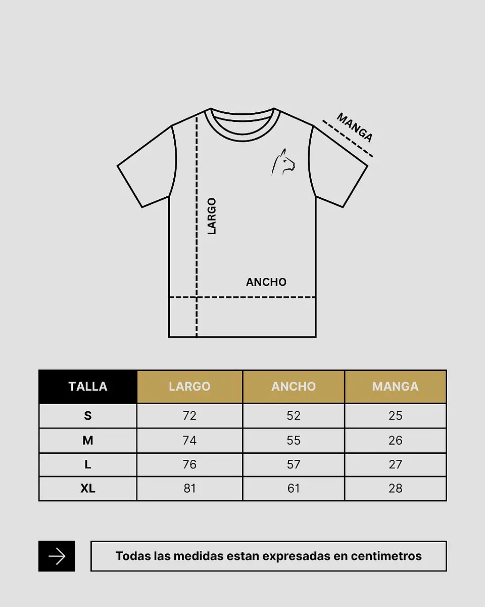 Polera Alpakia Gris 4