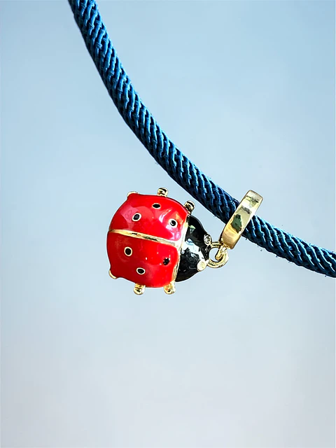 Pulsera Chinita azul