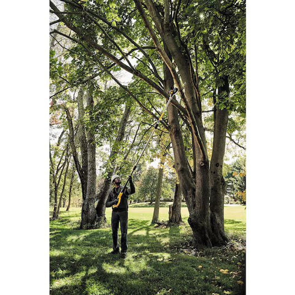 Motosierra De Altura 8 Dewalt Dcps620m1-b2 Carg Y Bat 9