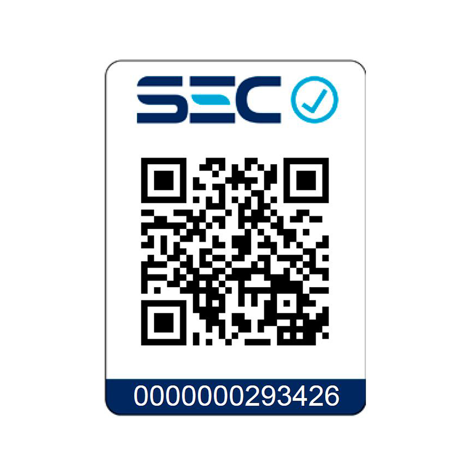 Rotomartillo Sds Plus 20v + 2 Baterías Dewalt DCH263P2-B2C 6