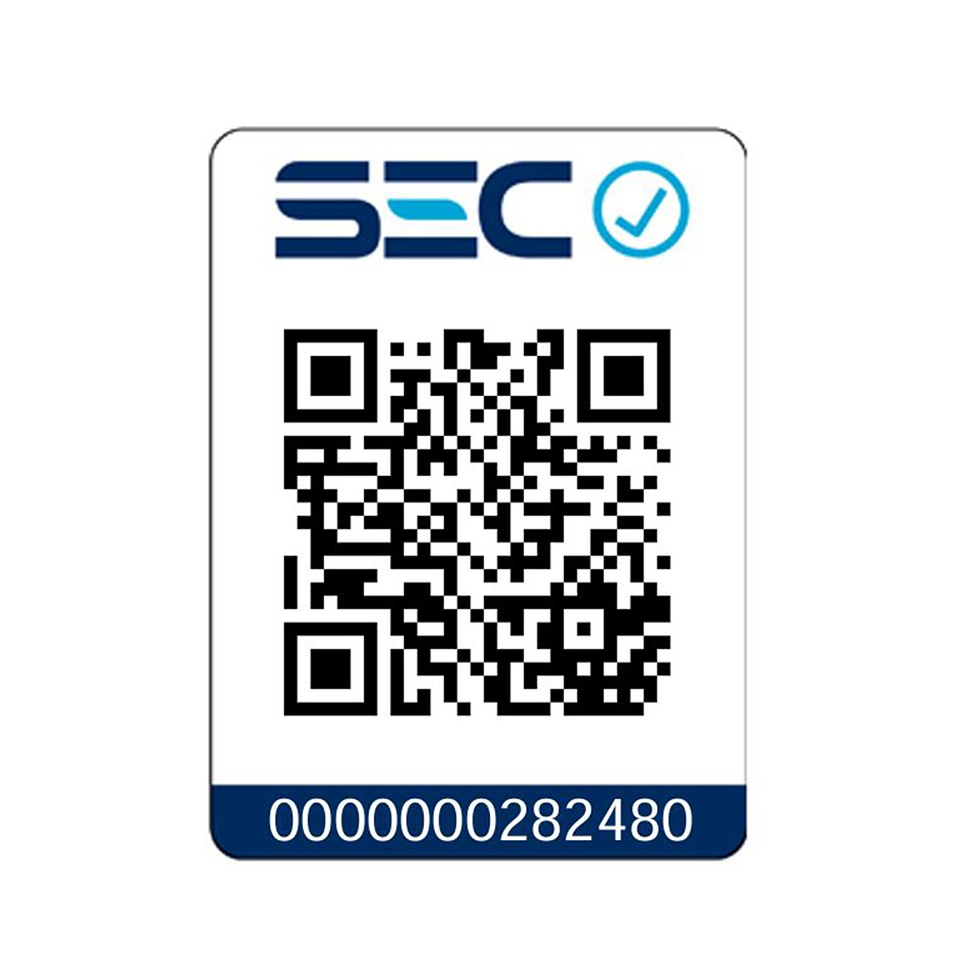 Kit Rotomartillo SDS MAX 60V + Accesorios DEWALT DCH481X2-B2 6