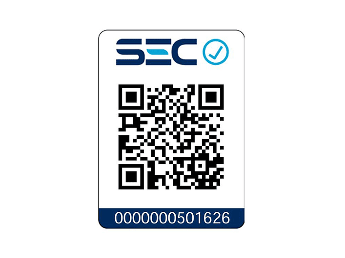 Kit Taladro Percutor 1/2'' 20v Xr Dewalt DCD996P2T-B2 6