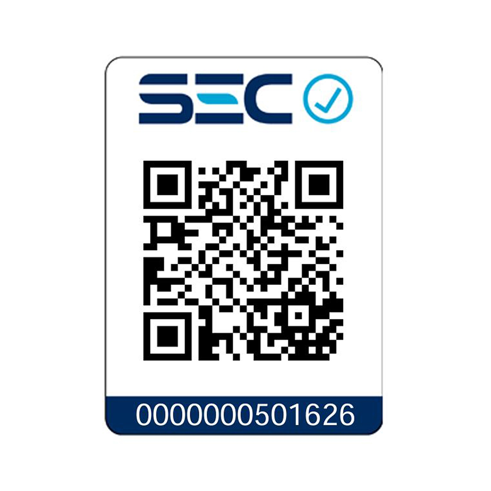 Kit Taladro Percutor 1/2'' 20v Xr Dewalt DCD996P2T-B2 6