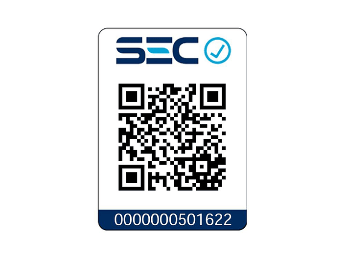 KIt Taladro Percutor 20V + Regalo Batería 5,0 Ah Dewalt 8