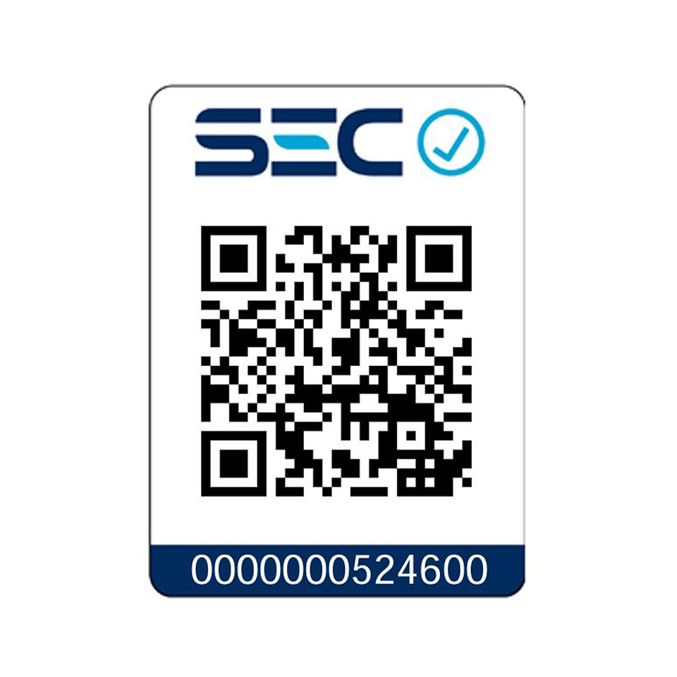 Lijadora Inalambrica De Muro Xr 20v Profesional 3